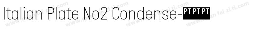 Italian Plate No2 Condense字体转换